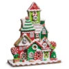 Raz 11" Red And Green Flat Gingerbread Village Christmas Decoration 4516673 2 Raz 11" Red And Green Flat Gingerbread Village Christmas Decoration 4516673 -The Christmas Shop 4516673 10962.1744315082