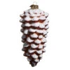Raz Eric Cortina 8" Snowy Brown Pinecone Glass Christmas Ornament 4553116 1 Raz Eric Cortina 8" Snowy Brown Pinecone Glass Christmas Ornament 4553116 -The Christmas Shop 4553116 71348.1750856145
