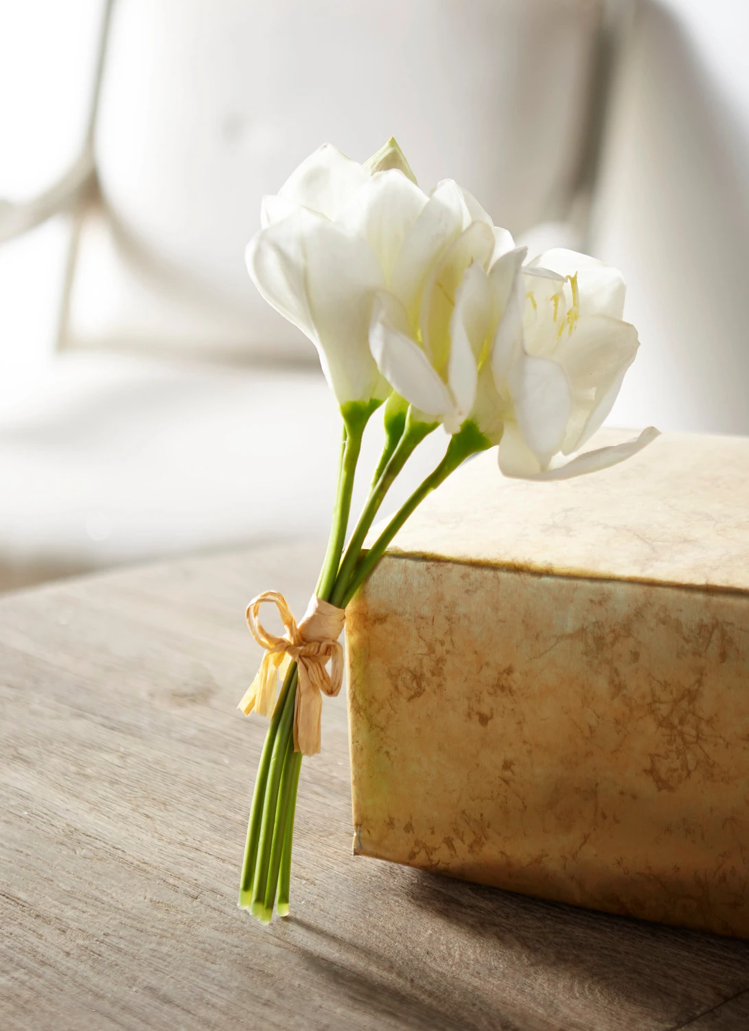 Raz 12" Real Feel White Amaryllis Bundle F4302310 3 Raz 12" Real Feel White Amaryllis Bundle F4302310