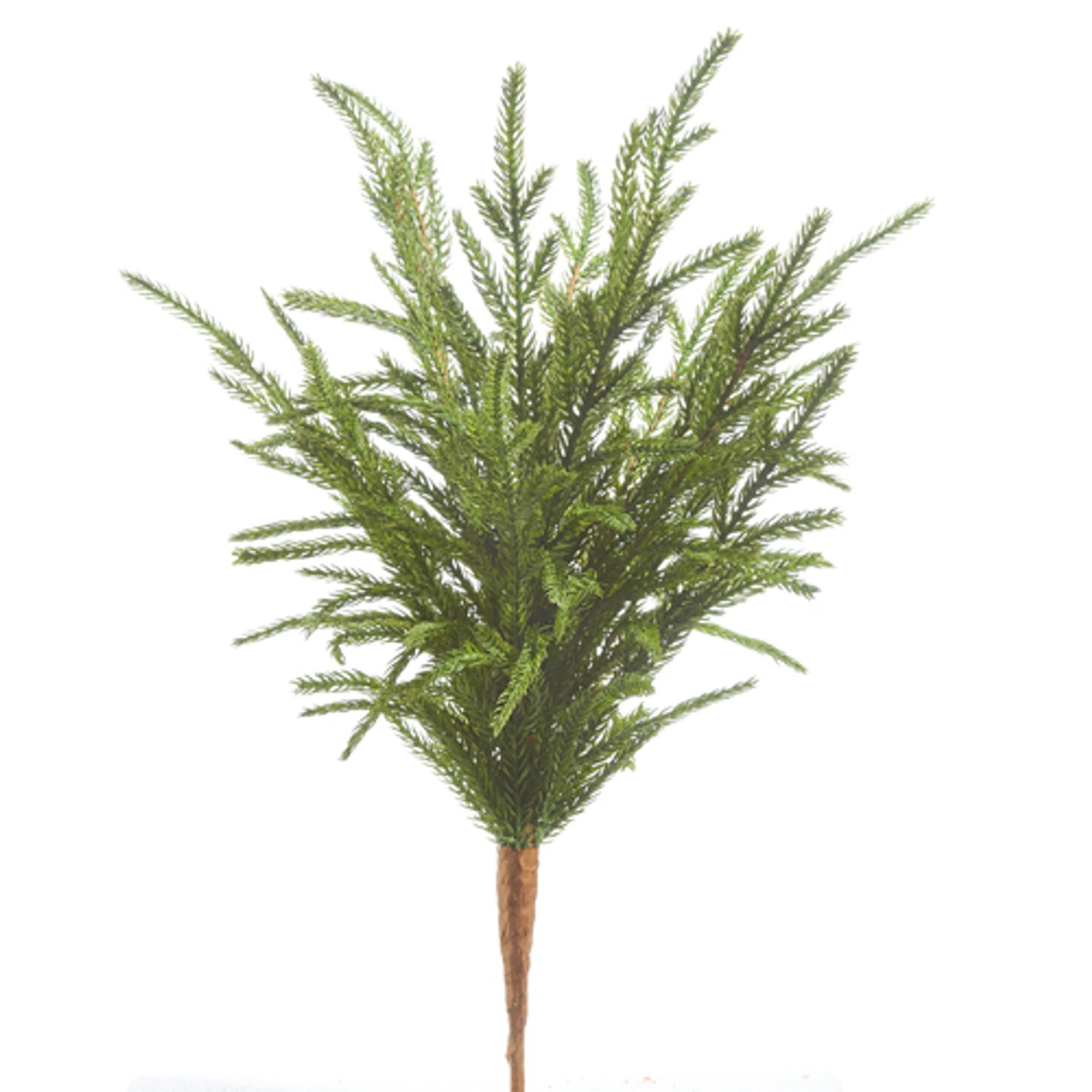 Raz 18" Real Feel Norfolk Pine Christmas Tree Pick F4302383 3 Raz 18" Real Feel Norfolk Pine Christmas Tree Pick F4302383