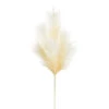 Raz 28" Artificial Pampas Spray Realistic Look F4302398 -The Christmas Shop F4302398 85879.1717099610