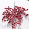 Raz 27.5" Snowy Red Berry Christmas Tree Spray F4306669 2 Raz 27.5" Snowy Red Berry Christmas Tree Spray F4306669 -The Christmas Shop F4306669 77732.1686061782