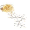 Raz 10' Fairy Cluster Christmas Lights On Silver Wire L4337023 -The Christmas Shop L4337023 38948.1753823124