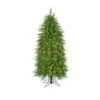 Regency 5' LED Lighted Norfolk Pine Artificial Christmas Tree MTX72869L -The Christmas Shop MTX72869L TGCB 11182.1726756051