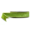 Raz 1" Lime Green Wired Velvet Christmas Ribbon R4527899 -The Christmas Shop R4527899 41638.1753826839