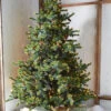 Raz 7.5' Forever Lit Green Big Sky Spruce Christmas Tree T4352009 2 Raz 7.5' Forever Lit Green Big Sky Spruce Christmas Tree T4352009 -The Christmas Shop T4352009 37639.1686668708