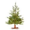 Raz 3' Bavarian Fir Tree With LED Lights Christmas Tree With Wood Stand T4509557 -The Christmas Shop T4509557 21112.1758050990