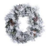 Raz 24" Snake Lighted Flocked Pine Christmas Wreath W4352015 -The Christmas Shop W4352015 32179.1733777338