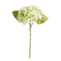 Raz 13" Real Feel Green Hydrangea Stem Christmas Decoration XF4322680 5 Raz 13" Real Feel Green Hydrangea Stem Christmas Decoration XF4322680 -The Christmas Shop XF4322680 1 14887.1686688150