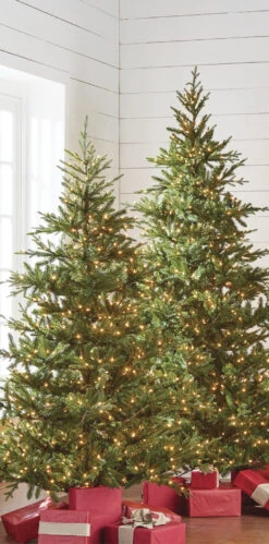 Raz 7.5' Pre-lit Green Mountain Fraser Fir Christmas Tree T4147025