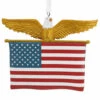 Hallmark American Flag Christmas Ornament 1HGO2786 -The Christmas Shop apinbzbtd 88342.1646091860