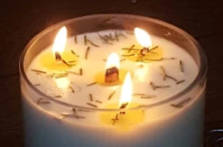 Bedrock Tree Farm 32 Oz Fir Needle Scented Christmas Candle V32NAT -The Christmas Shop apinzzdye 60926.1646091883