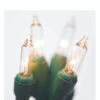 Brite Star 25' 100 LT Random Twinkling Clear Mini Incandescent Lights On Green 37-491-00 2 Brite Star 25' 100 LT Random Twinkling Clear Mini Incandescent Lights On Green 37-491-00 -The Christmas Shop apipbizpd 30469.1646091866