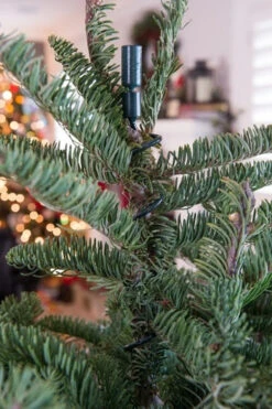 Village Lighting Universal Christmas Tree Topper Holder V-11103 11 Village Lighting Universal Christmas Tree Topper Holder V-11103 -The Christmas Shop apiylnmow 47410.1646091960